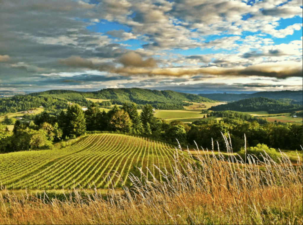 The Willamette Valley - Oregon's Spectacular Wine Country 3 Willamette valley Oregon wine country